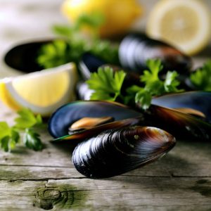 Découvrez la saison des moules : recettes et astuces !