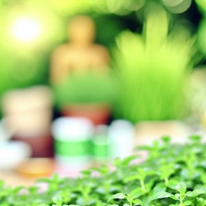 Découvrez les secrets du tubexor pour votre bien-être
