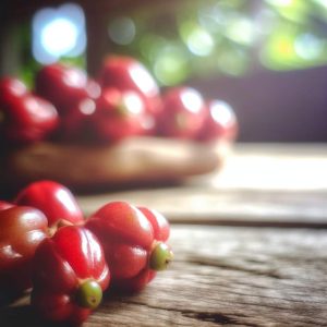 Guarana bienfaits: boostez votre énergie naturellement