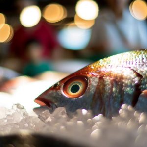 Peut-on vraiment manger un poisson ammoniaque ?